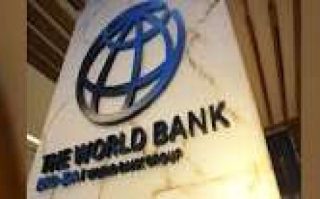 W’Bank Approves $12m Loan For Nigerian States Hosting IDP Camps