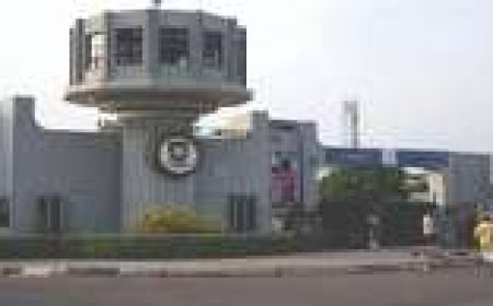 UI beats UNILAG, Covenant, UNN, OAU, others to emerge best in Nigeria