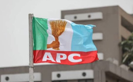 APC Chieftain Calls For Expedited Action Over Revalidation, Registration Of Old, New Party Members