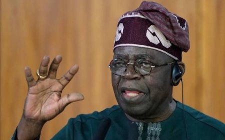Bola Tinubu: Nigeria president 'in great shape' after falling at Turkey reception