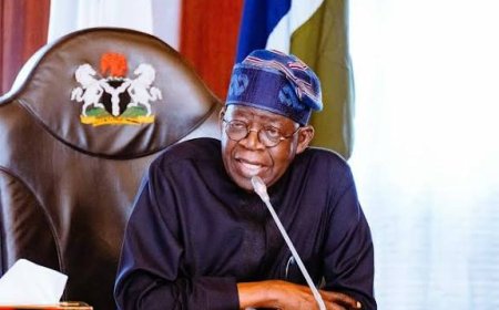 Tinubu Proposes Appointment Of 110 Justices Of Court of Appeal To Ease Caseloads