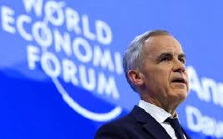 Carney’s World: Havel’s Greengrocer and Africa’s Middle Powers