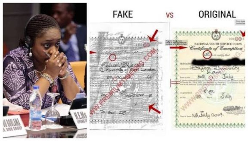 Forged NYSC certificate - Kemi Adeosun still beyond shame
