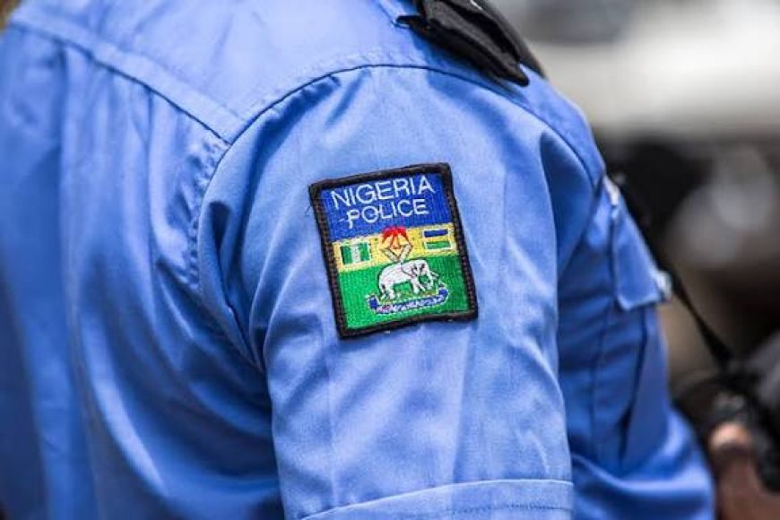 Kano Police Arrest Three Over Alleged Murder Of 35 -year Old Mother, Three Children