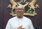 I Will Contest 2027 Presidential Election Even If Conducted In Their Bedroom --- Peter Obi