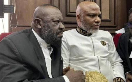 Nnamdi Kanu's Lawyer Urges Ndi Igbo To Disregard Fresh Calls For Weekly Sit- At- Order Over his principal To The Project Nnamdi Kan
