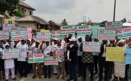 Ogoni Group Demands Accountability Over Alleged $300m Compensation In Rivers