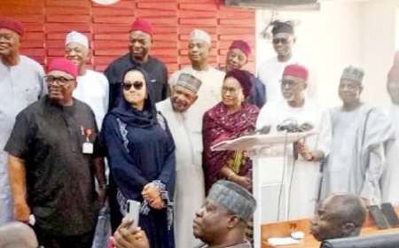 Senate Retained Electric Transmission Of Election Results, Senators Victor Umeh, Ireti Kingibe