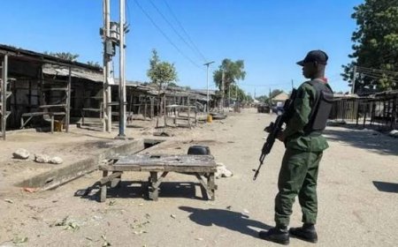 Landmine Kills 7: Nigerian Soldiers In Borno Thursday Thursday Night
