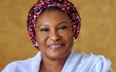 FCT's Senator Ireti Kingibe Asks Nigerians To Hold Their Senators, Reps Members Accountable Over Electoral Reform Bill