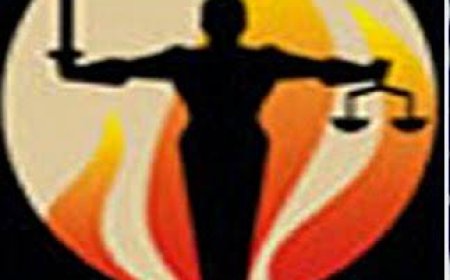 SERAP petitions CCB over ‘alleged abuse of office in Electoral Act amendment, tax reform laws’