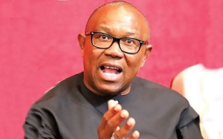 2027 Polls: Peter Obi Leads Protesters To National Assembly Over Real- Time Transmission Of Election Results