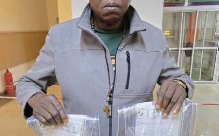 China-bound auto parts dealer excretes 95 wraps of cocaine, Says NFLEA 