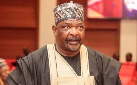 Senate May Vote Publicly On Real- Time Transmission Of Election Results — Ningi