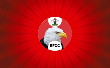 EFCC Presents First Witness Against Austrian Arrested For Undeclared $800,575, €651,505 At Lagos Airport