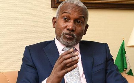 AU Summit: Nigeria Gets Permanent Seat On African Central Bank Board - Minister 