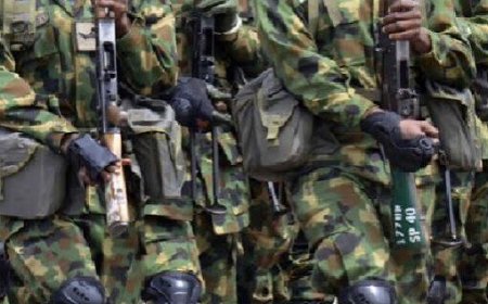 Two Soldiers On Escort Team Of Borno Gov Die In Road Mishap