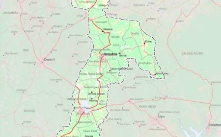 Fraudsters-In-Law: The conspiracy against Abia State