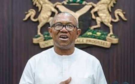 I Will Contest 2027 Presidential Election Even If Conducted In Their Bedroom --- Peter Obi