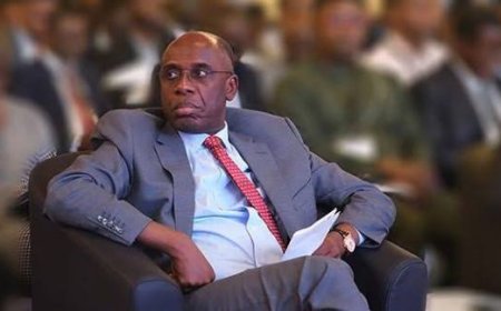 Presidency accuses Rotimi Amaechi of spreading lies over tax law