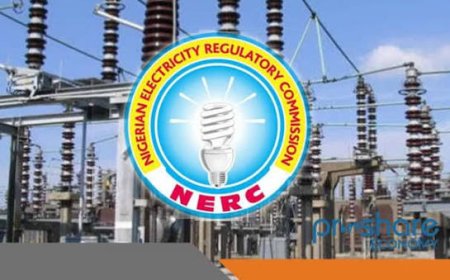 NERC outlines steps for resolving electricity complaints nationwide