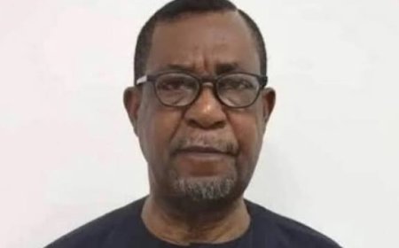 Alleged $6bn Mambilla Power Fraud:  Agunloye Admitted Knowing Owner of Contractor Company before Ministerial Appointment - ------- Witness