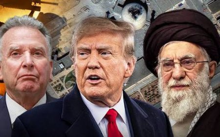 Trump curious, Iran has not "capitulated," Says 'Witkoff