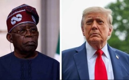 US Congress Panel Submits Report On Nigeria "Genocide" To Trump