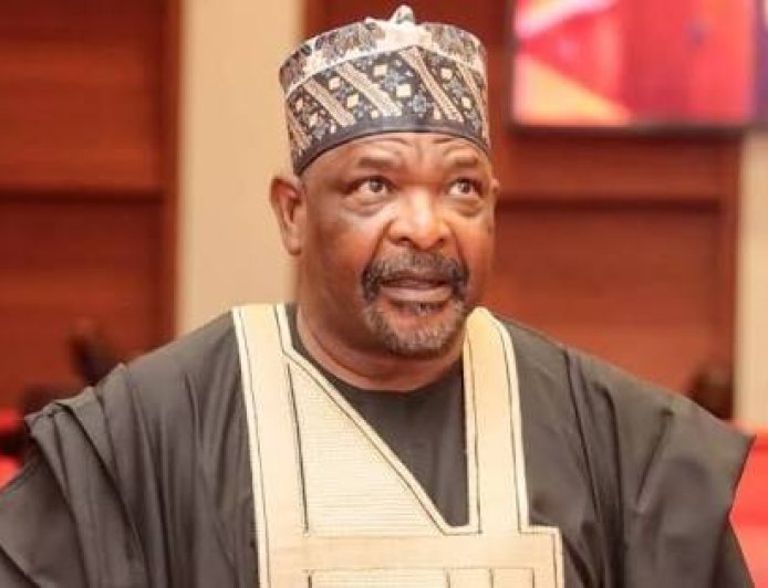 Senate May Vote Publicly On Real- Time Transmission Of Election Results — Ningi