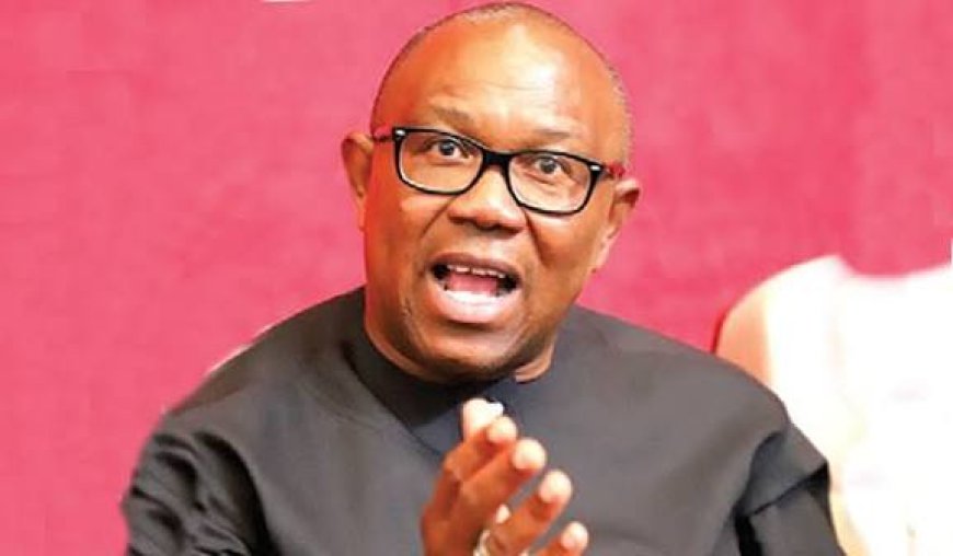 2027 Polls: Peter Obi Leads Protesters To National Assembly Over Real- Time Transmission Of Election Results