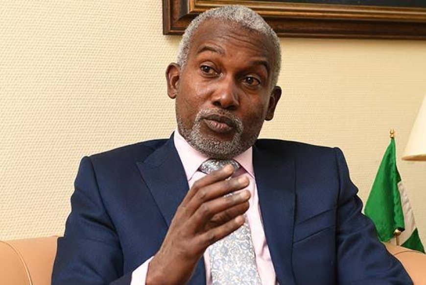 AU Summit: Nigeria Gets Permanent Seat On African Central Bank Board - Minister 