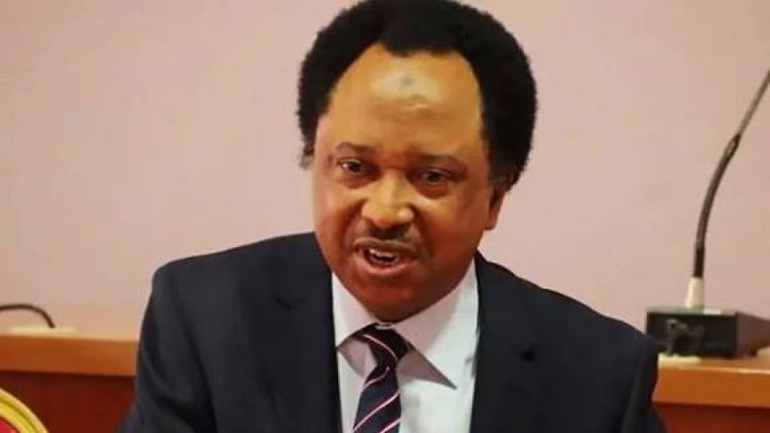Senator Shehu Sani Asks EFCC To Probe Gov El-Rufai’s 8-year Tenure In Kaduna