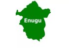Enugu Community Raises Alarm Over Attempts By Non- Natives To Impose A Traditional Ruler On Them