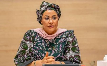 From senior to junior minister: Doris Uzoka-Anite moved to third ministry in three years