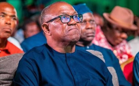 Why Nigerians are Poor - Peter Obi