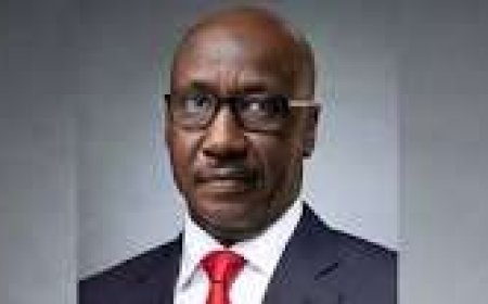 Senate Summons Kyari, Ojulari, Others Over Alleged ₦210trn Unaccounted For In NNPCL Report