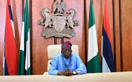 Presidency tackles World Bank, Says Tinubu Creating Millions of Jobs For Nigerians