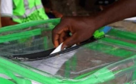 New Electoral Act: Certificate Forgery Nolonger Ground For Election Petition