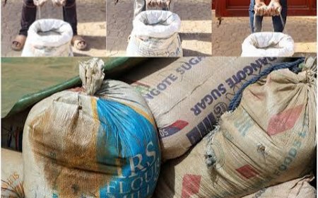 EFCC Arrests 15 Suspects with Radioactive Solid Minerals in Kaduna