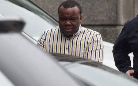 Man claiming to be mistaken for one of nine identical brothers first to be prosecuted for obstructing deportation