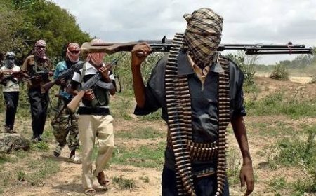 3; Soldiers, 7! Vigilante Members Die As Soldiers, Bandits Engage In Gun Duel