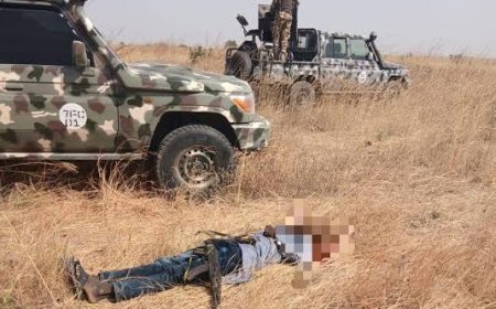 Nigerian Military Kills 61 Terrorists In Malam Fatori, Borno 