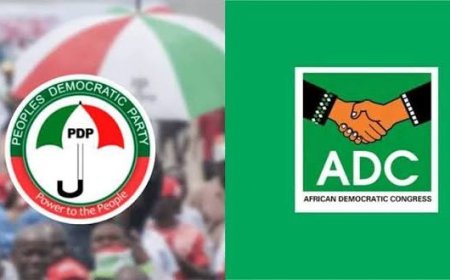 I Haven't Defected From PDP, I'm A Loyal PDP Member