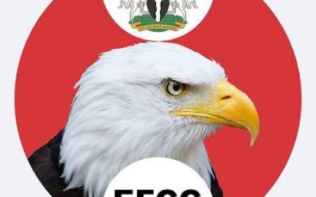 Alleged $6b Mambila Project Fraud: Agunloye Reduced FG Equity Participation without  Approval- Witness