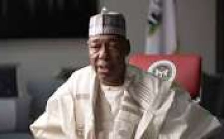 Two suicide bombers still on the loose in Maiduguri – Gov Zulum