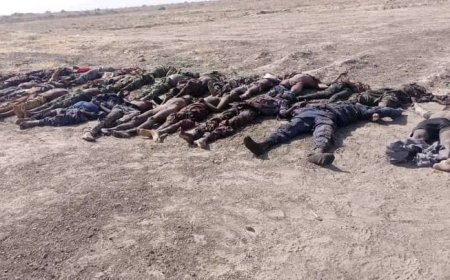 Nigerian Army Recovers 74 Terrorist Bodies In Borno