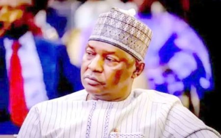 DSS Operatives Again Invade Malami's Abuja Residence