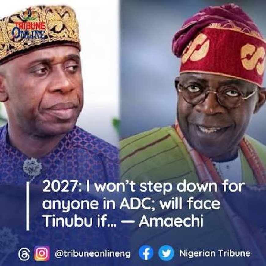 2027 ELECTIONS: Tinubu Faces ‘Political Earthquake’ In 2027, Says ADC Chieftain Sokonye Davies