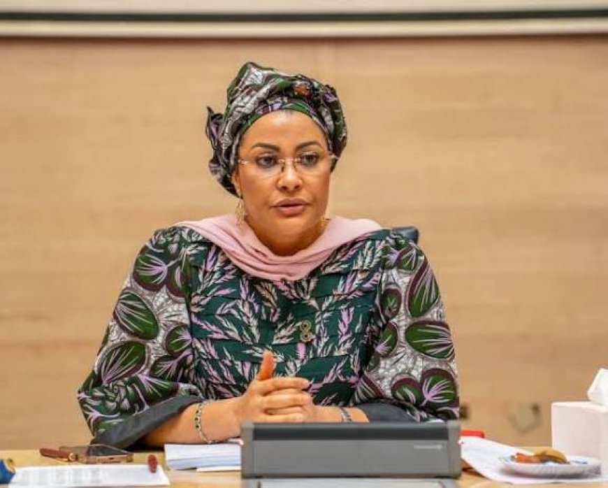 From senior to junior minister: Doris Uzoka-Anite moved to third ministry in three years