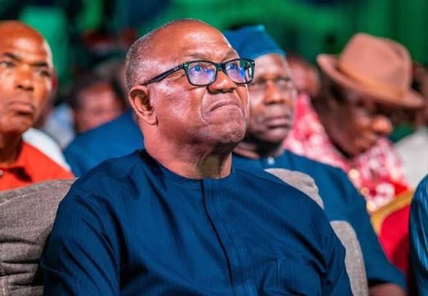 Why Nigerians are Poor - Peter Obi